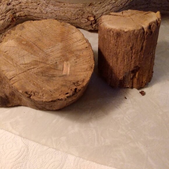 Two Small Real Wood Tree Stumps Fairy Garden Gnome Village Rustic Accent - Picture 5 of 11